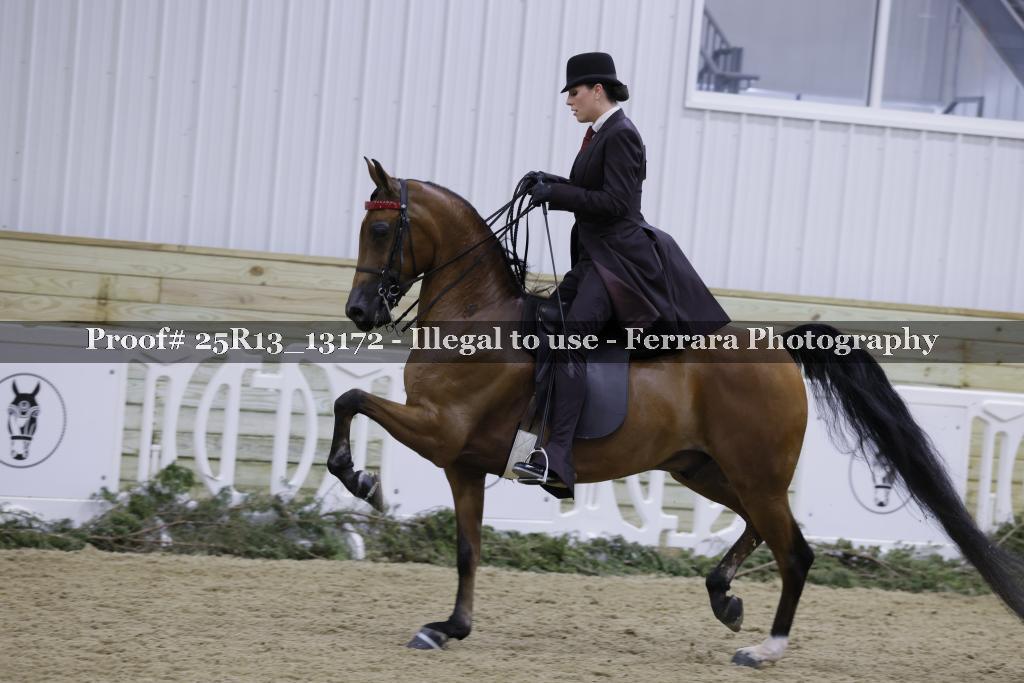 Proof 25R13_13172