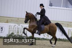25R13_13172 proof