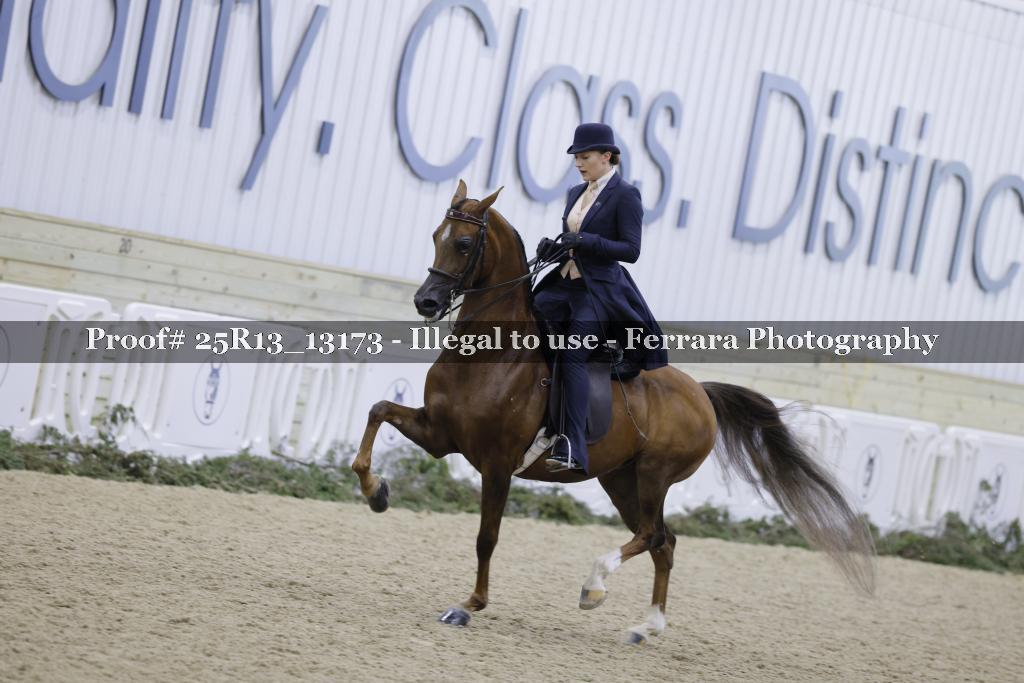 Proof 25R13_13173