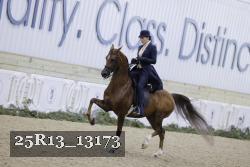 25R13_13173 proof
