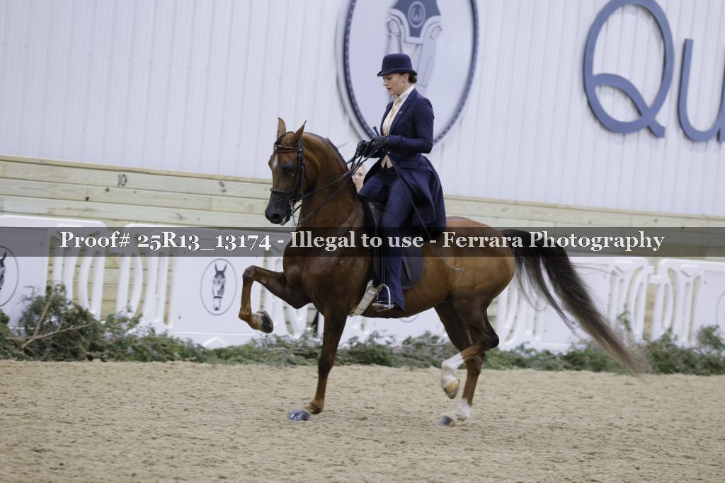 Proof 25R13_13174