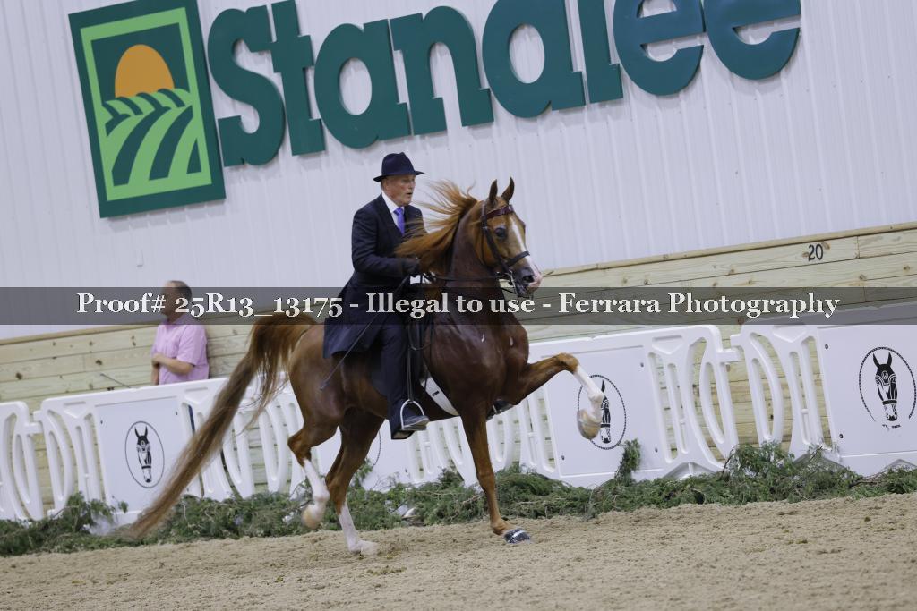 Proof 25R13_13175