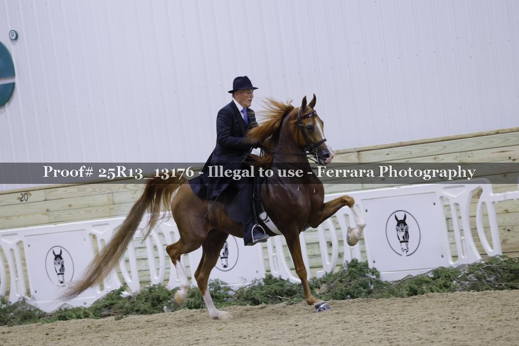 Proof 25R13_13176
