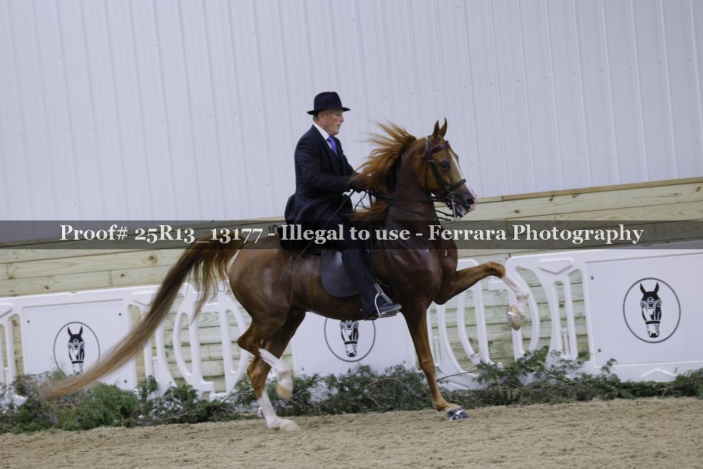 Proof 25R13_13177