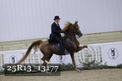 25R13_13177 proof