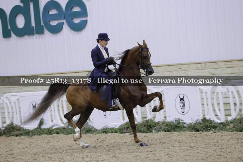 Proof 25R13_13178