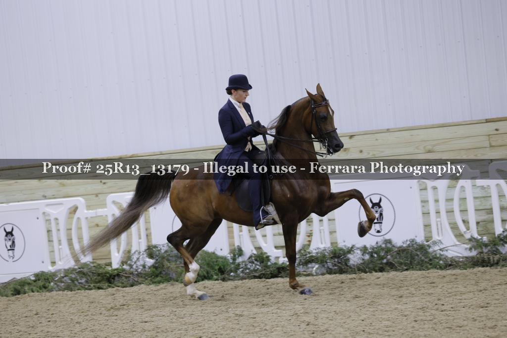 Proof 25R13_13179