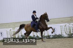 25R13_13179 proof