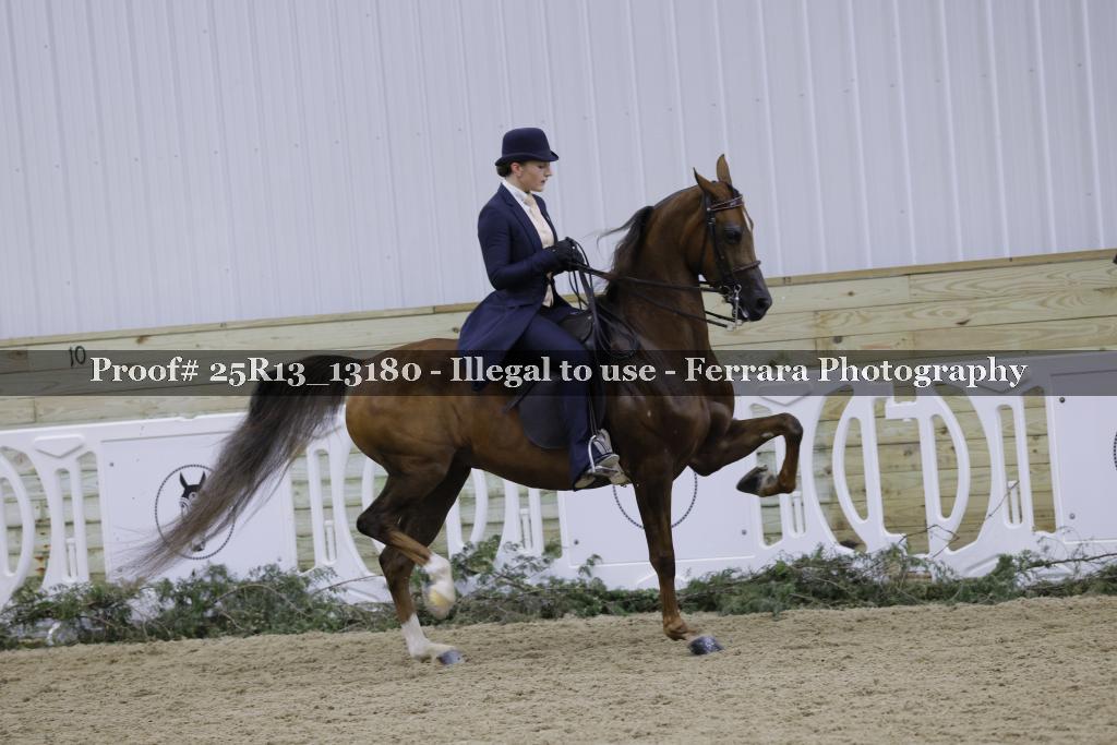 Proof 25R13_13180