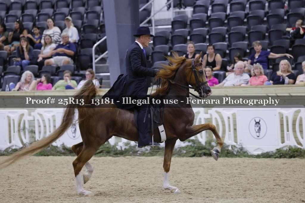 Proof 25R13_13181