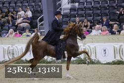 25R13_13181 proof