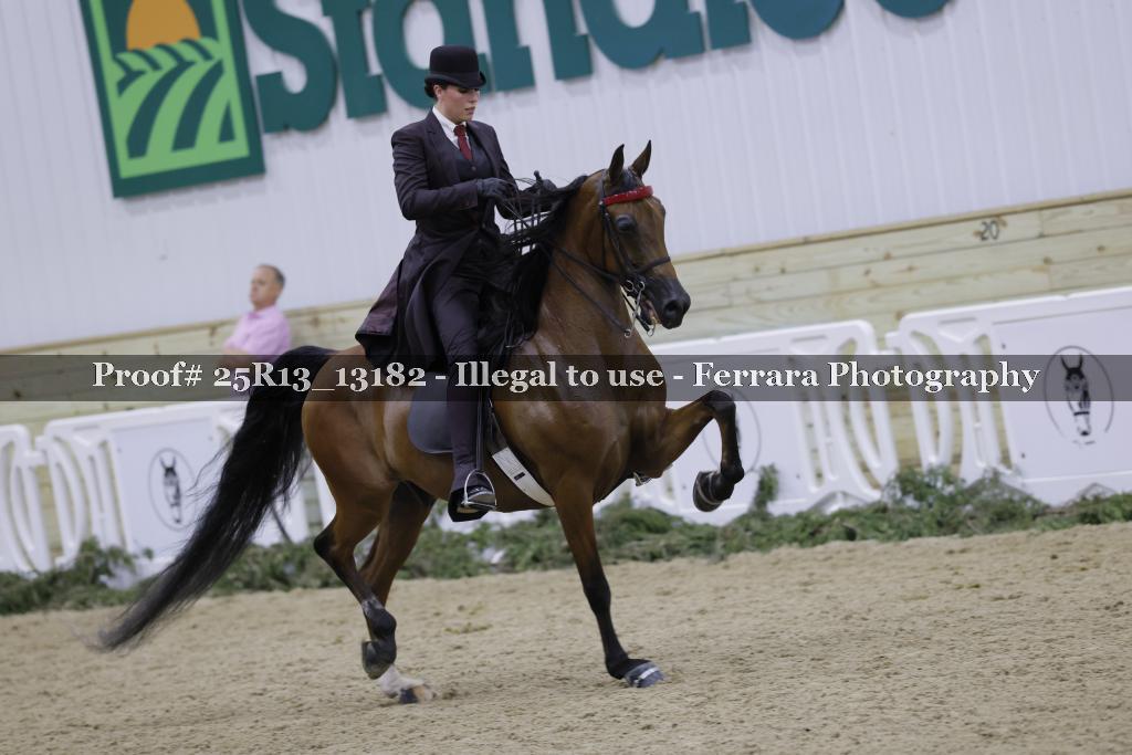 Proof 25R13_13182