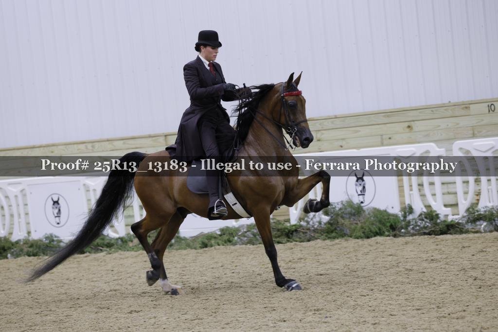 Proof 25R13_13183