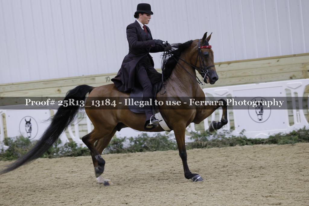 Proof 25R13_13184