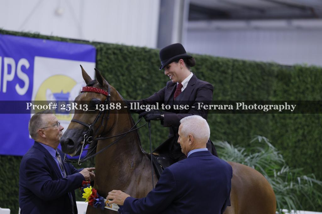 Proof 25R13_13188