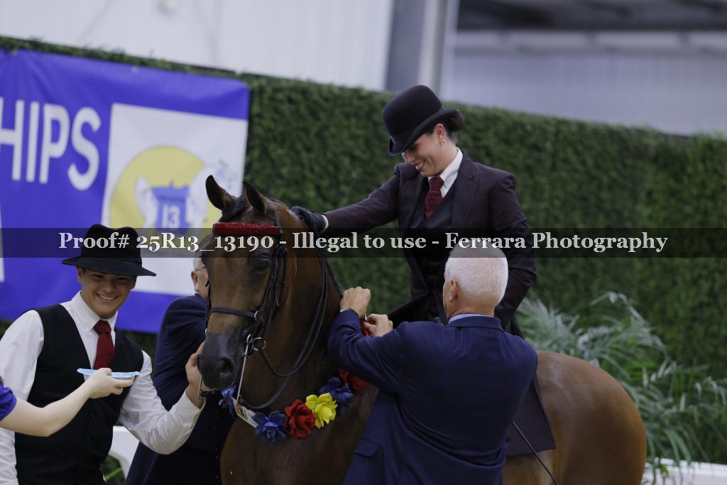 Proof 25R13_13190