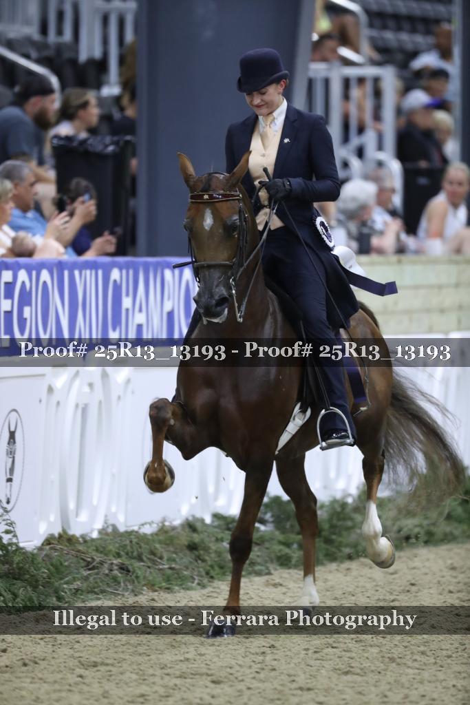 Proof 25R13_13193