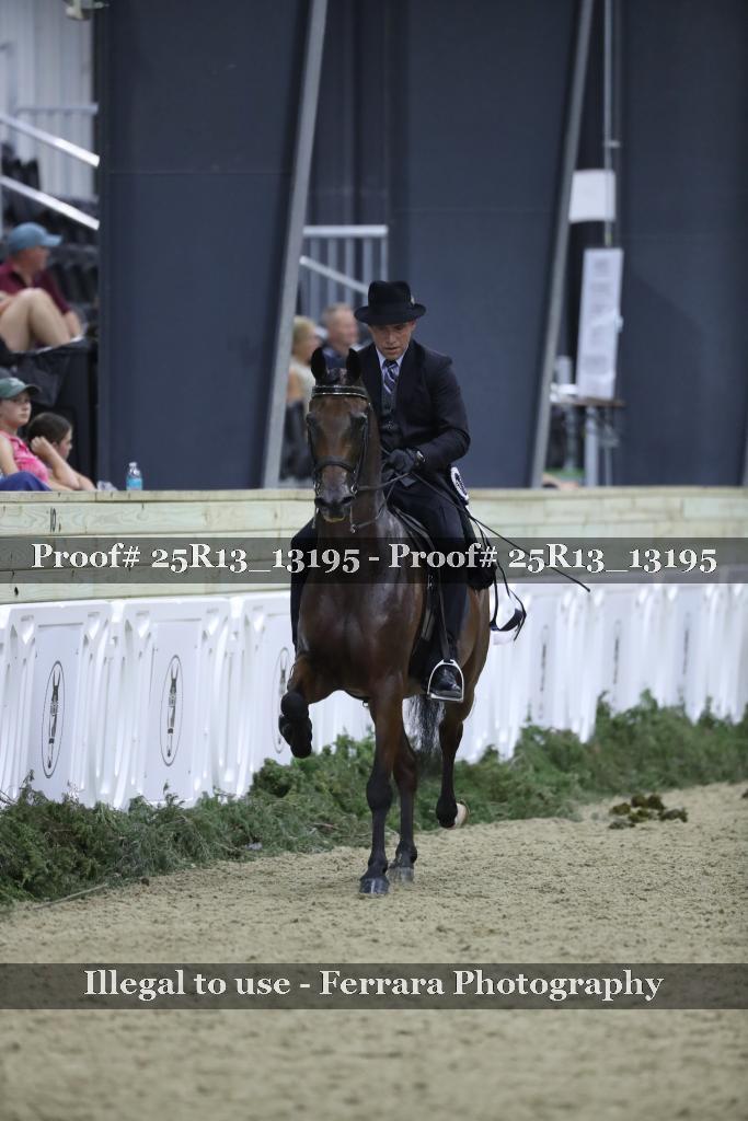 Proof 25R13_13195