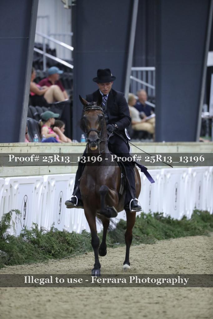 Proof 25R13_13196