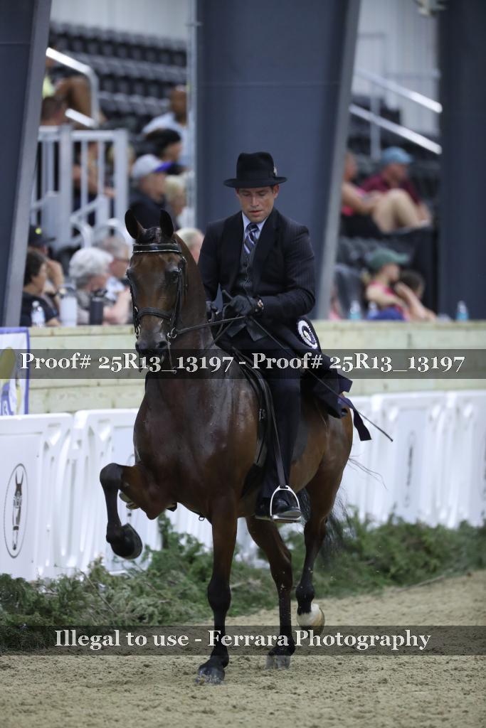 Proof 25R13_13197