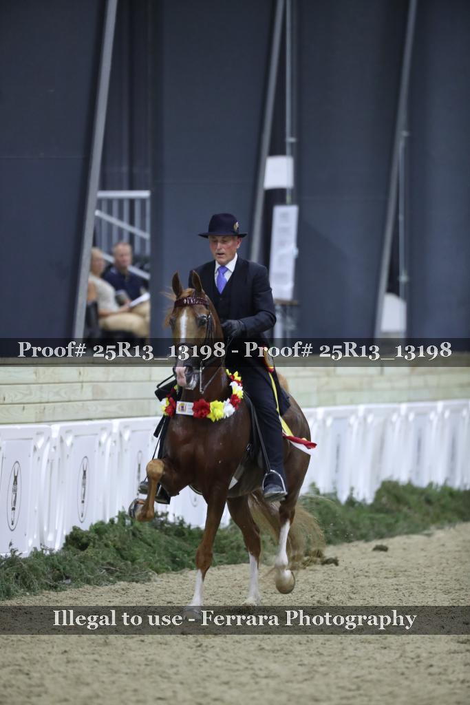 Proof 25R13_13198