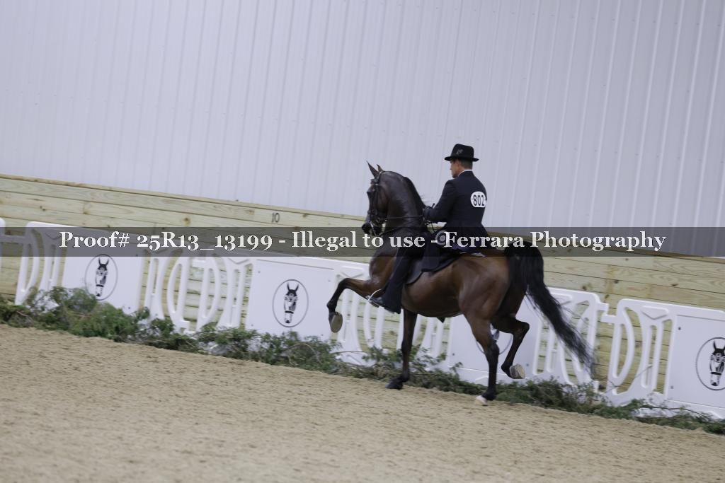 Proof 25R13_13199