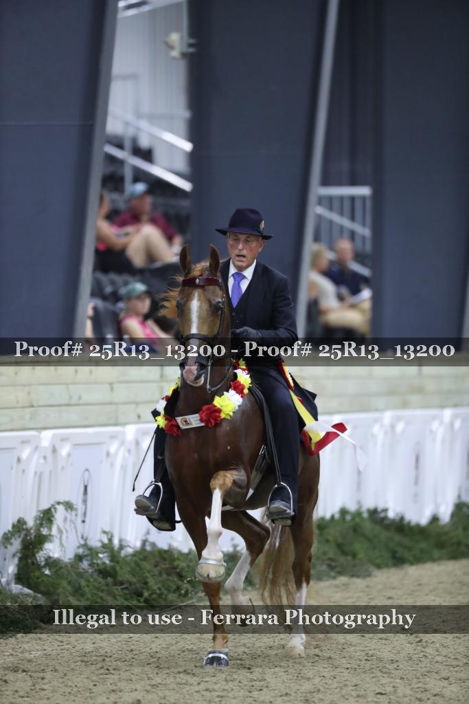 Proof 25R13_13200