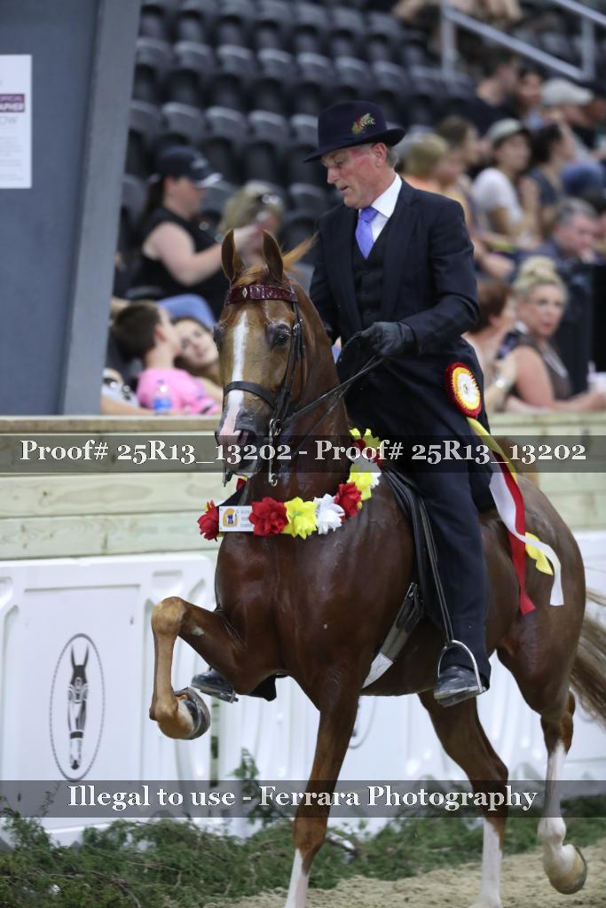 Proof 25R13_13202