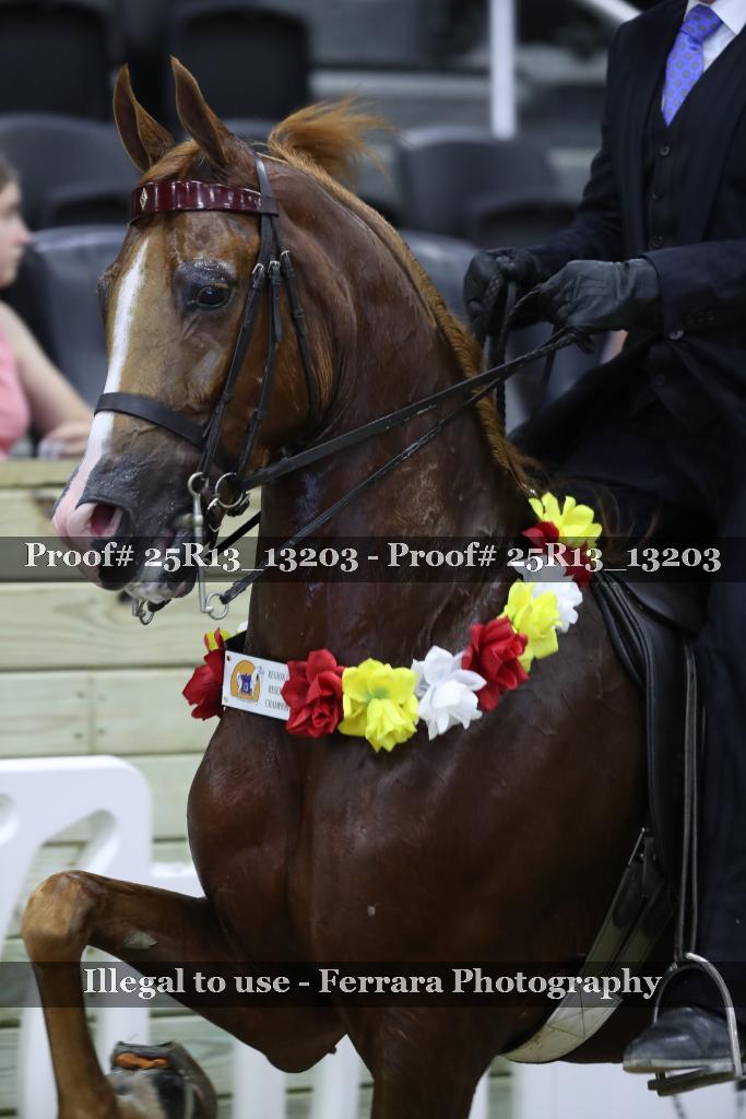Proof 25R13_13203