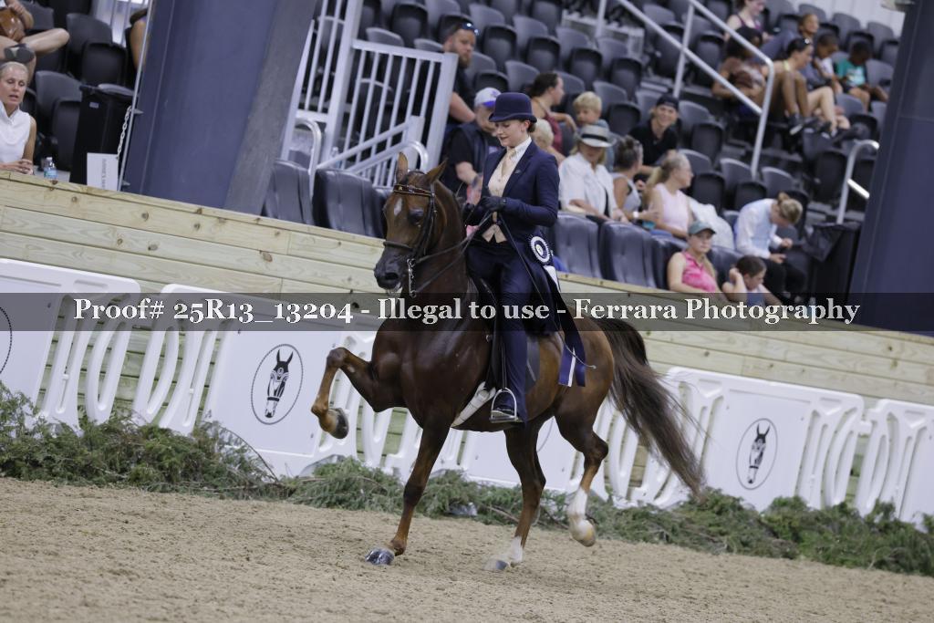 Proof 25R13_13204