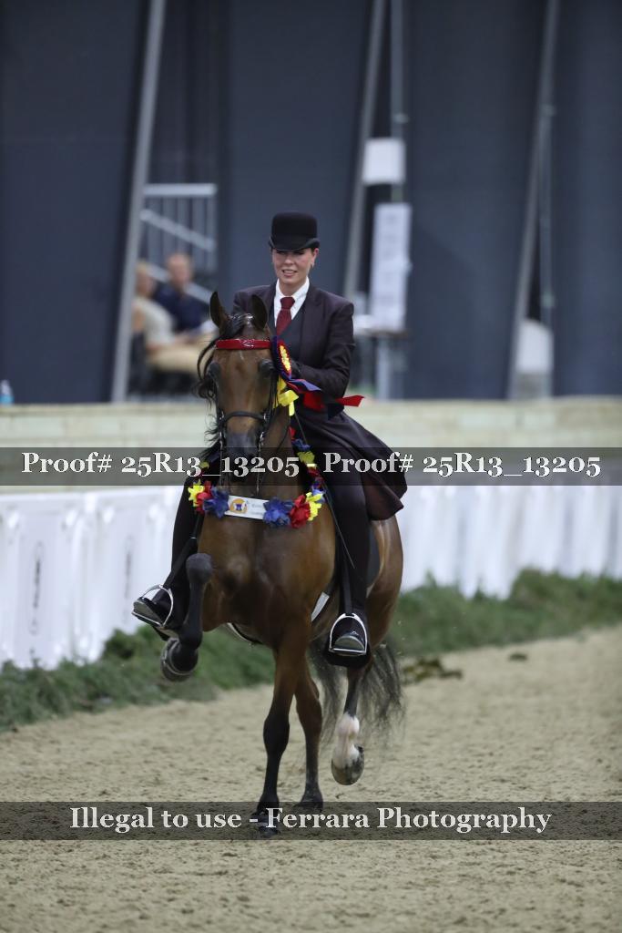 Proof 25R13_13205