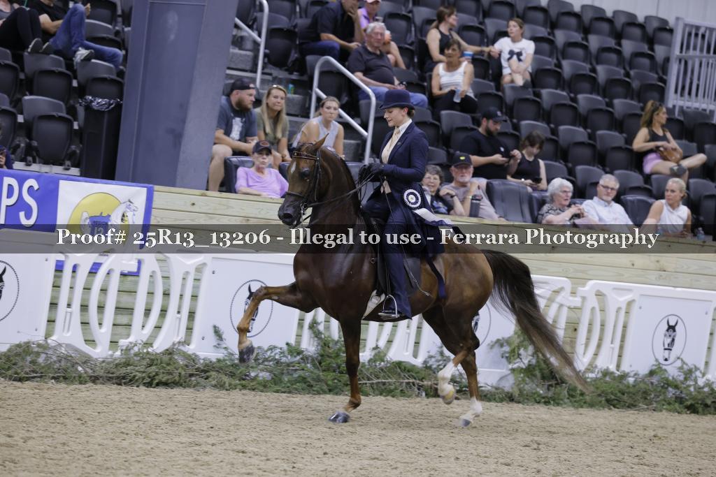 Proof 25R13_13206