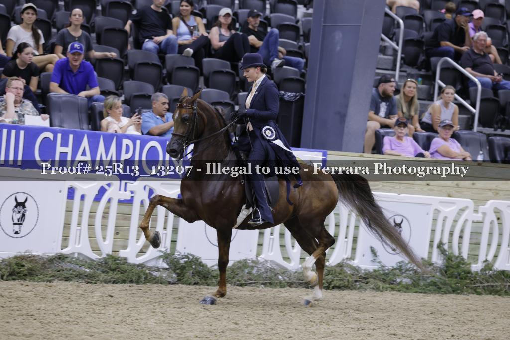 Proof 25R13_13207