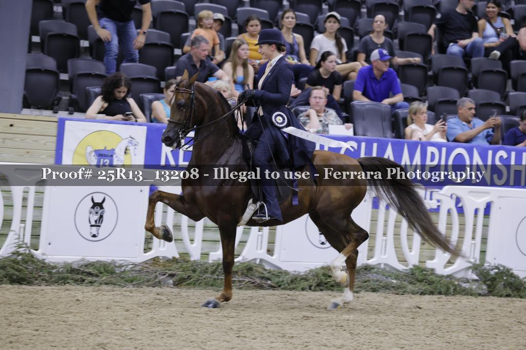 Proof 25R13_13208