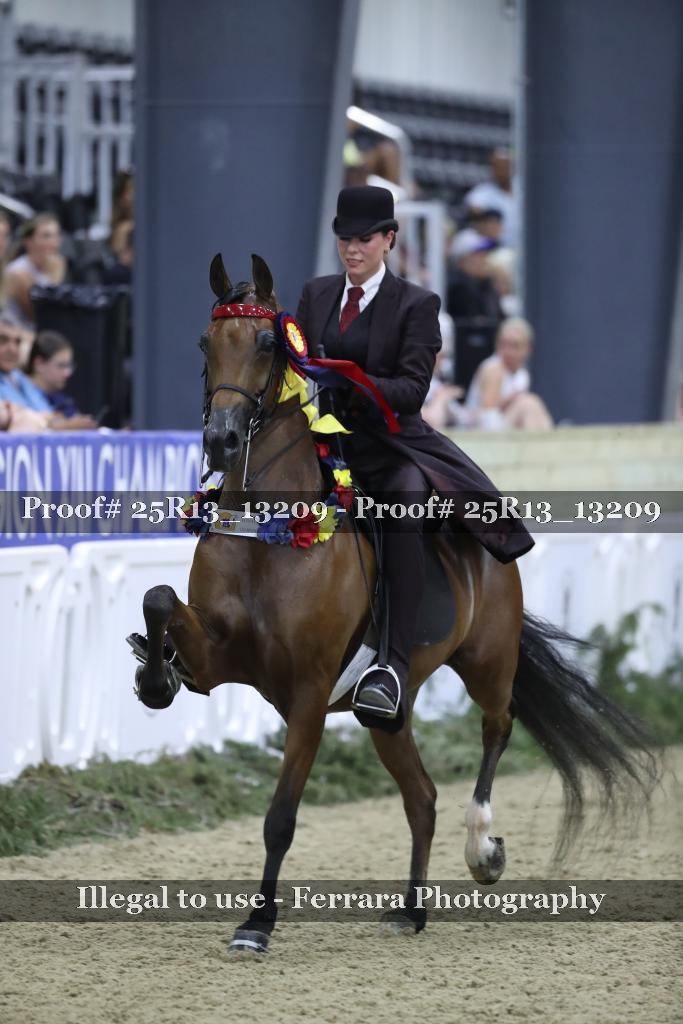 Proof 25R13_13209