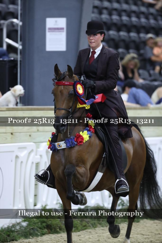 Proof 25R13_13211