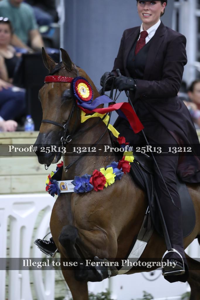 Proof 25R13_13212