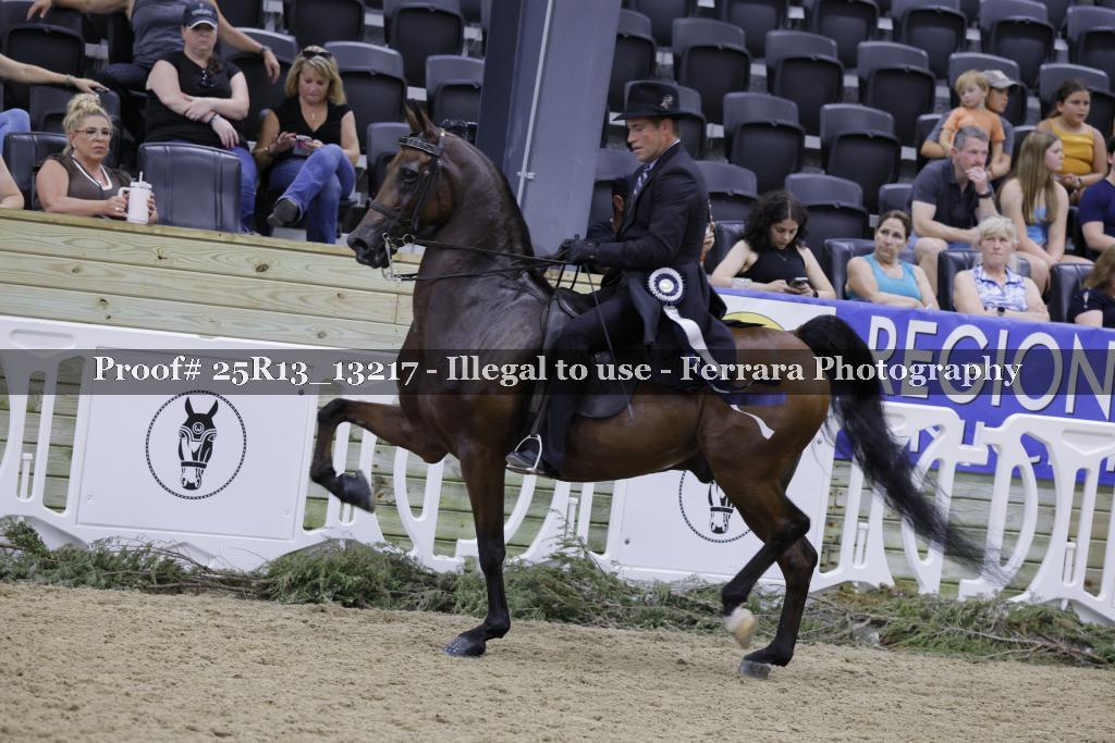 Proof 25R13_13217