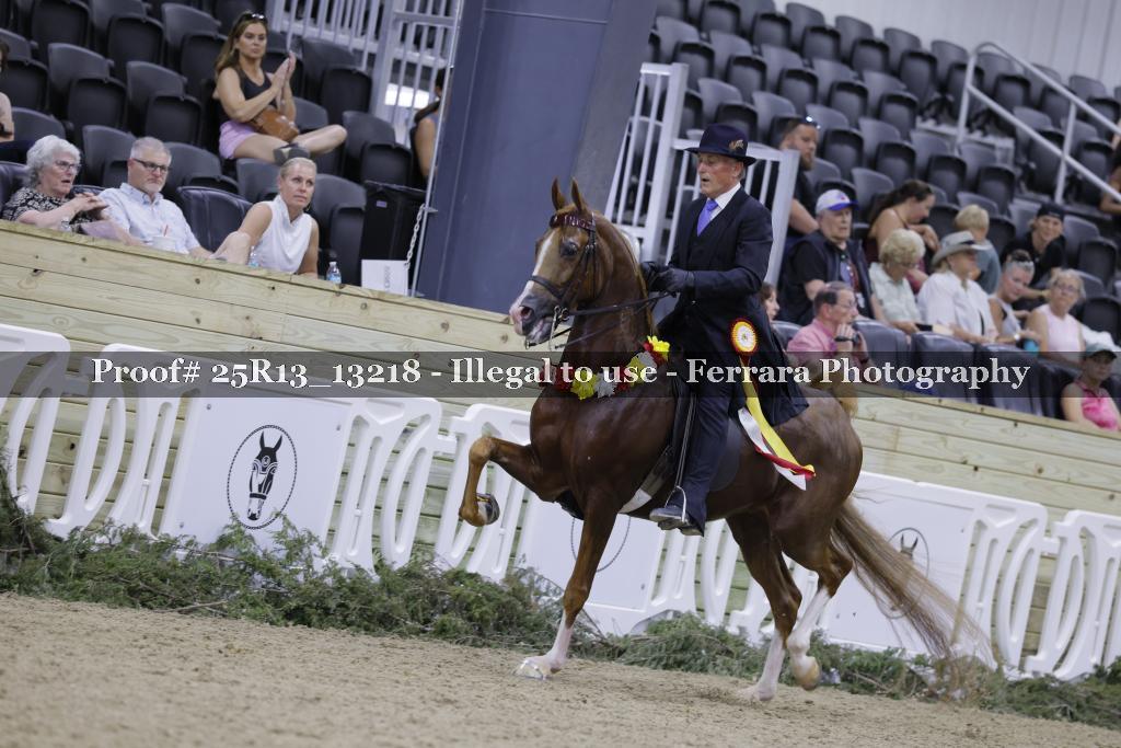Proof 25R13_13218