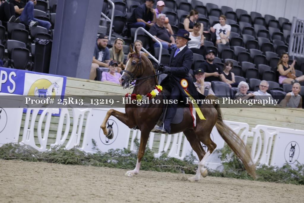 Proof 25R13_13219