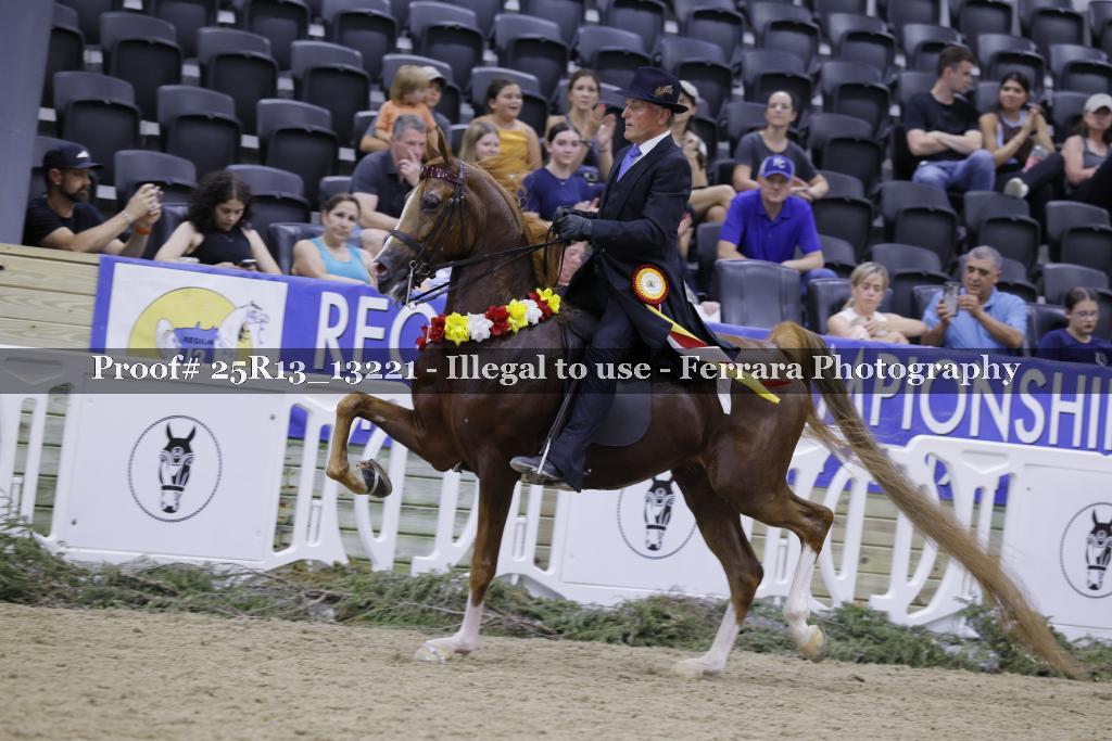 Proof 25R13_13221