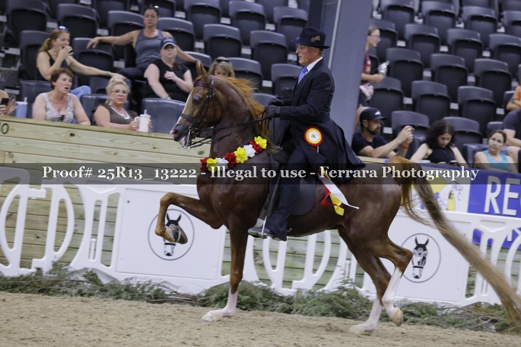 Proof 25R13_13222