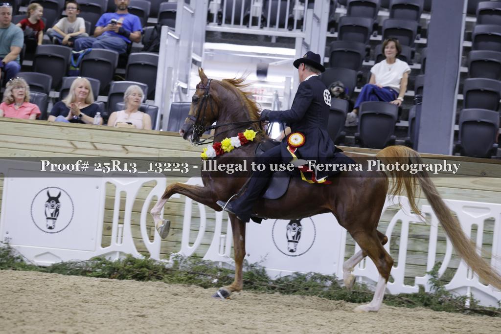 Proof 25R13_13223