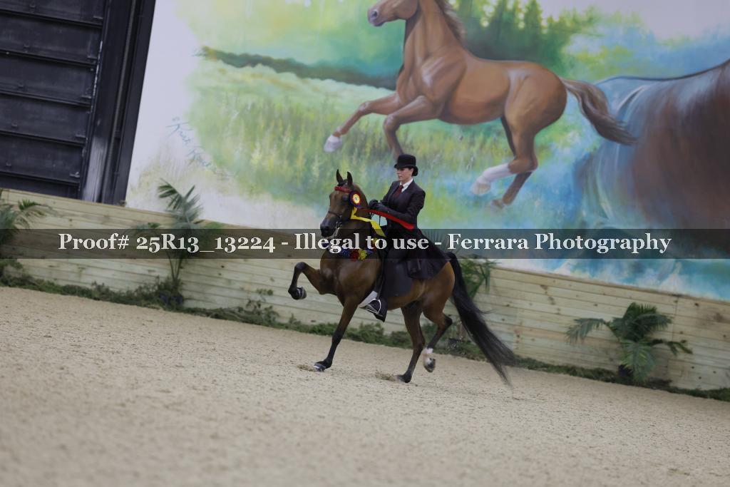 Proof 25R13_13224