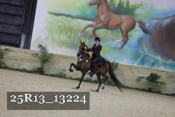 25R13_13224 proof