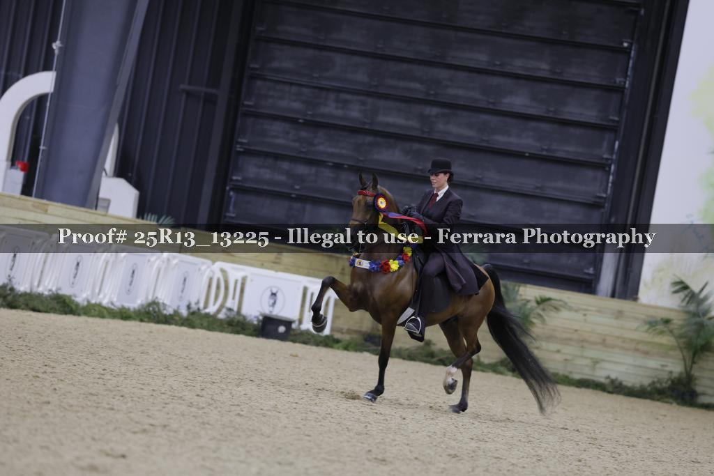 Proof 25R13_13225