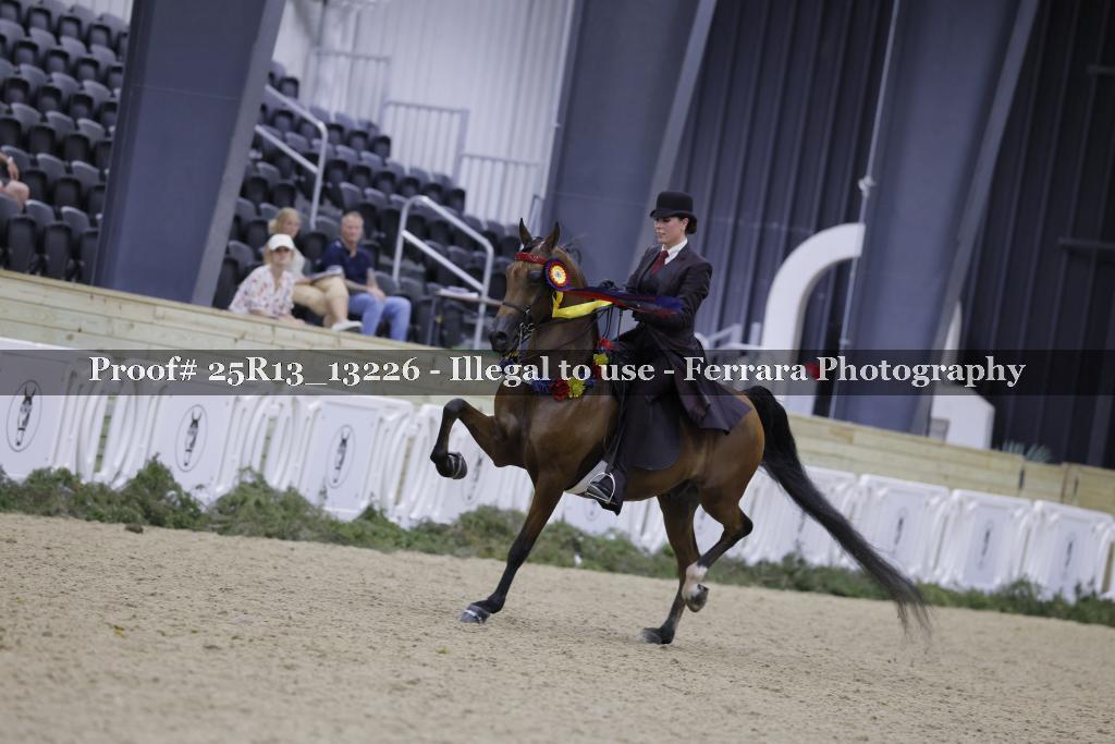 Proof 25R13_13226