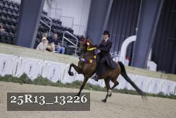 25R13_13226 proof