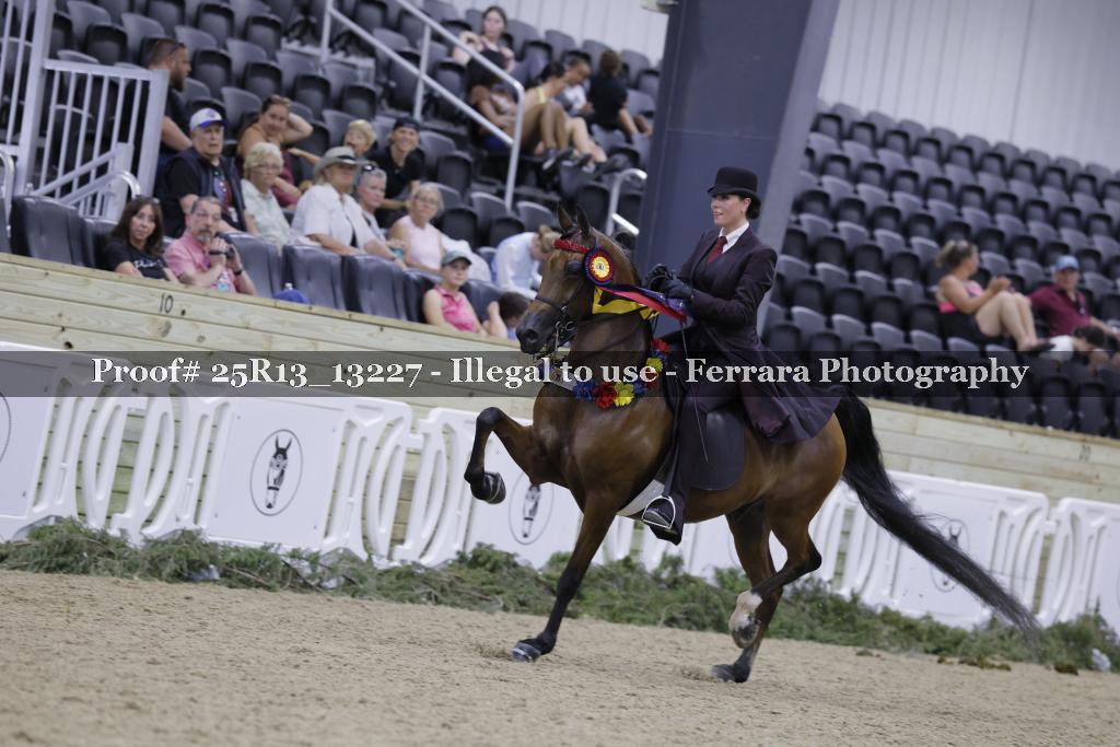 Proof 25R13_13227