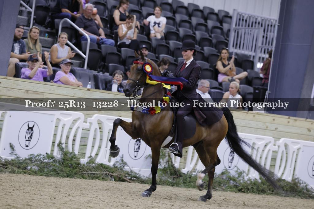 Proof 25R13_13228